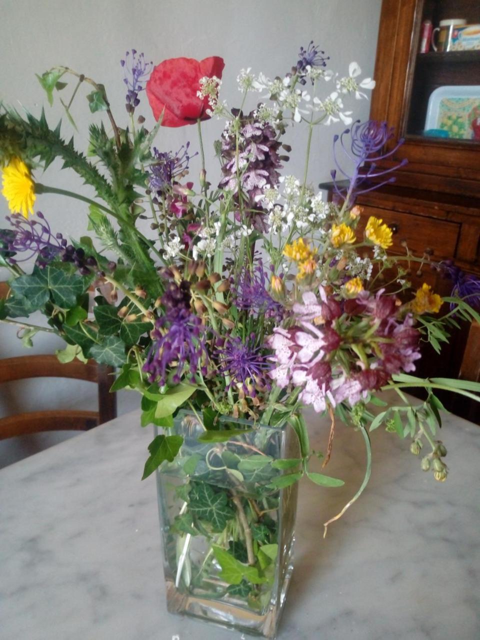 Villa Le Pergole- Firenze ภายนอก รูปภาพ